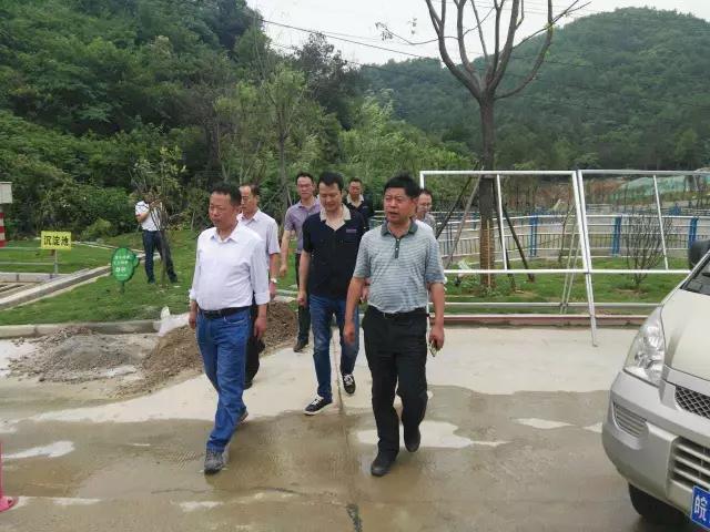 安庆市国土资源局党组成员、副局长张昊阳到长银集团公司进行汛期地质灾害防治专项督查指导