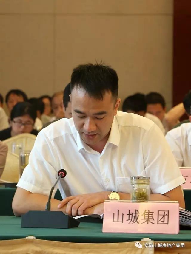王剑董事长参加安庆市支持岳西县脱贫攻坚工作推进大会并发言