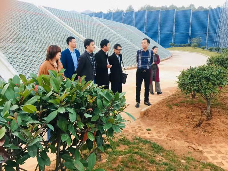 【领导视察】民建大观区委莅临集团公司调研