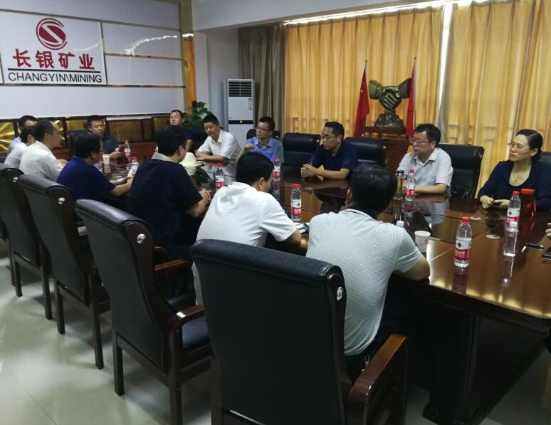 区委副书记、区长潘功发率队来长银矿业　开展环保督查和经济督导工作