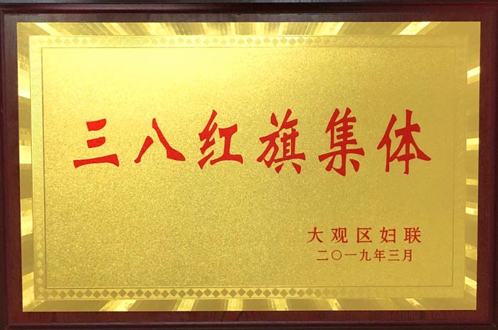 【集体荣誉】集团公司喜获大观区“三八红旗集体”荣誉称号