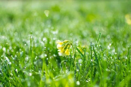 【长银文苑】春天—美丽的季节