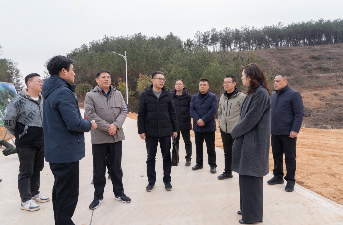安徽省应急厅督查组莅临山城矿业督查指导