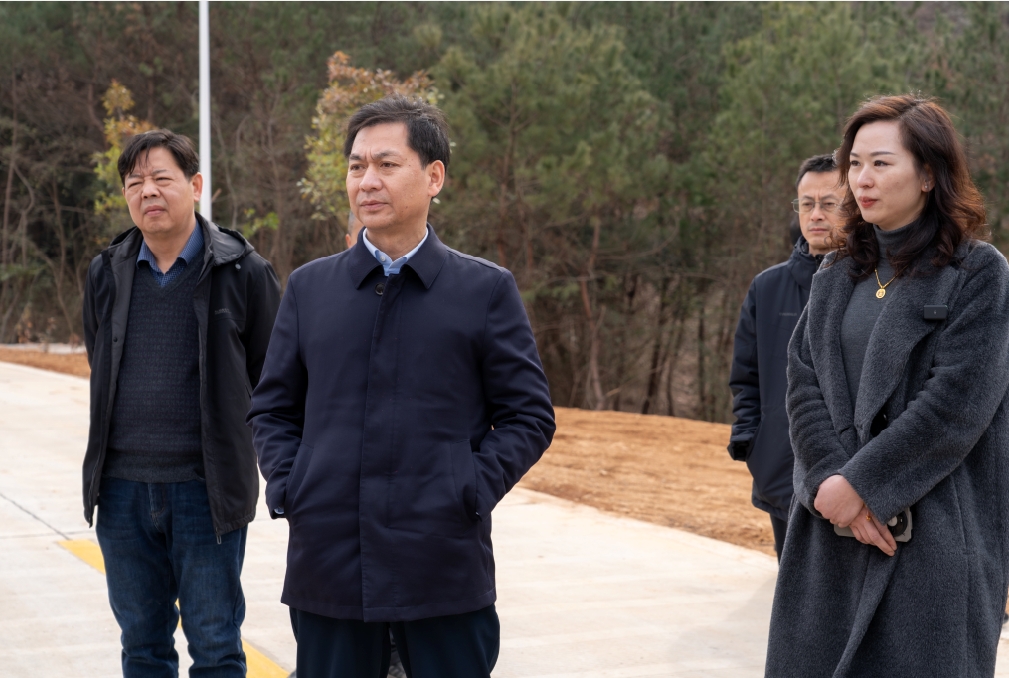 枞阳县经济工作会议领导莅临黄竹园铜银矿项目观摩调研